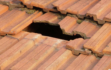 roof repair Martinhoe, Devon