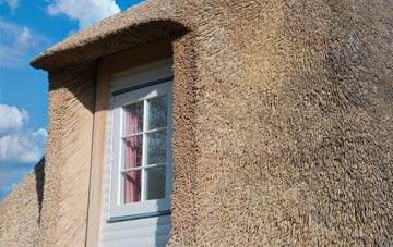 Martinhoe thatch roof disadvantages